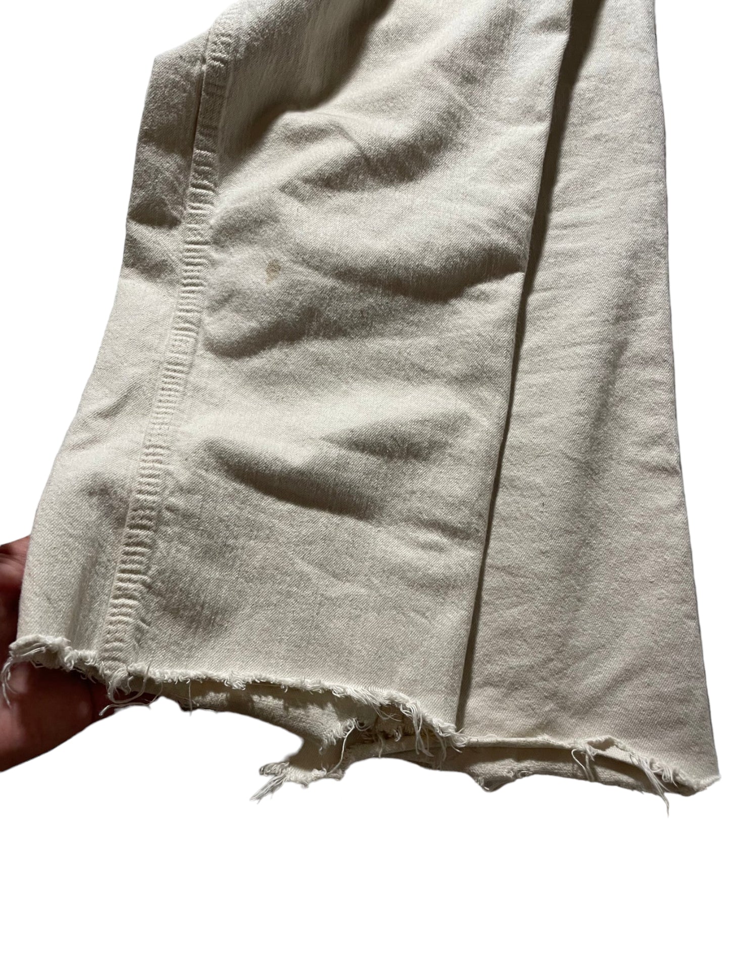 Vans Distressed Carpenter Pants