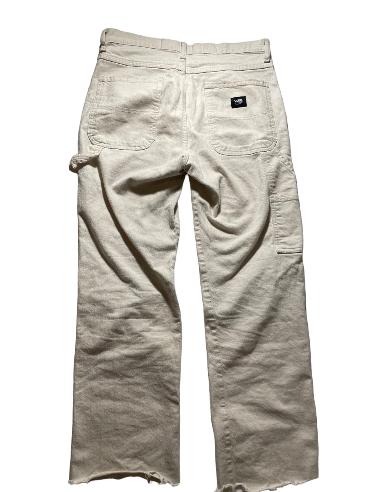 Vans Distressed Carpenter Pants